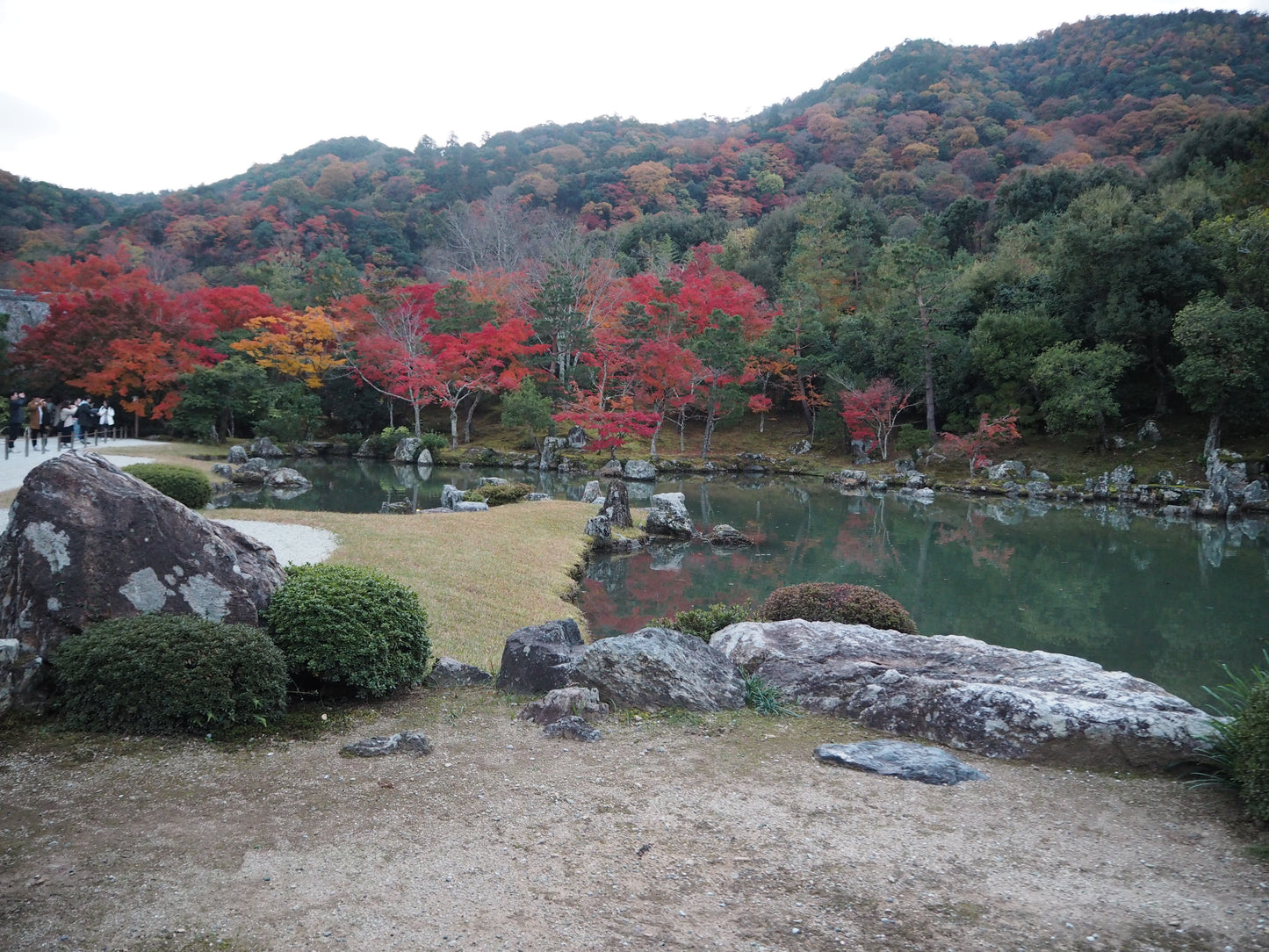 KIOTO NATURAL