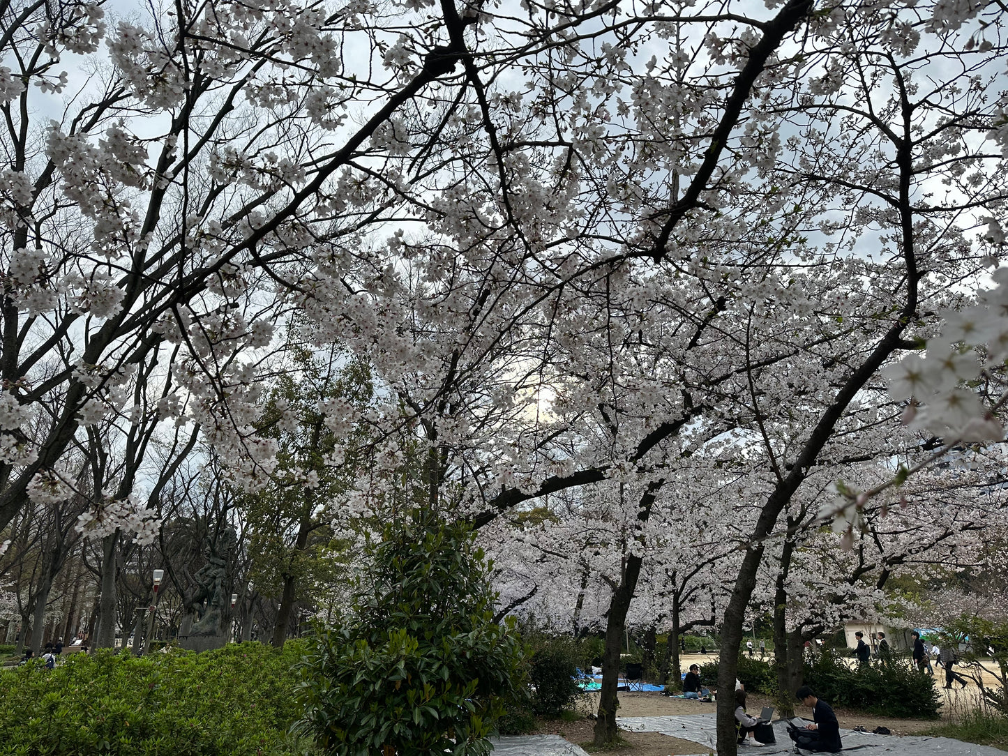 OSAKA CLÁSICO