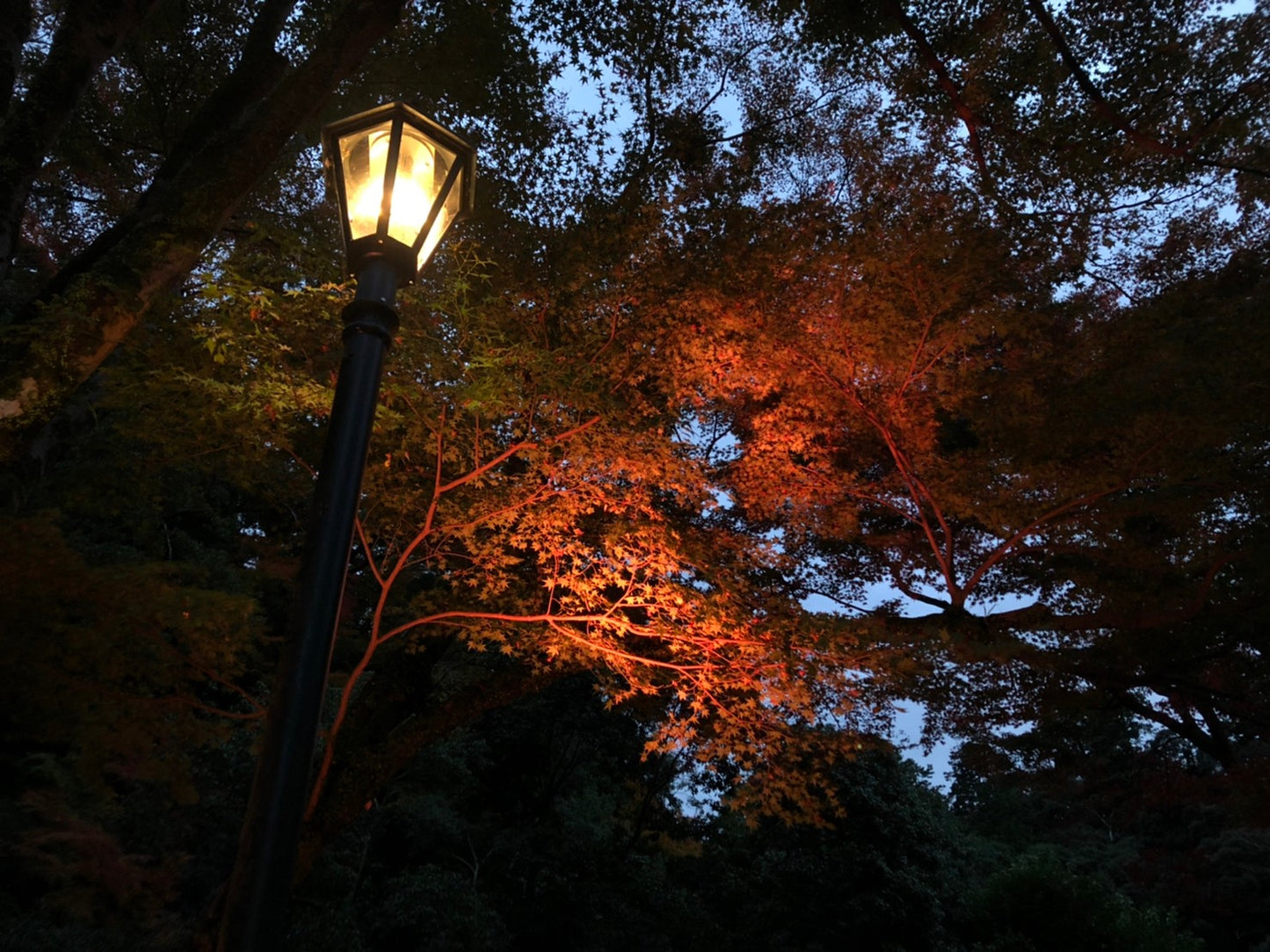 MINOH: Katsuoji, Ryanji y Cascada.