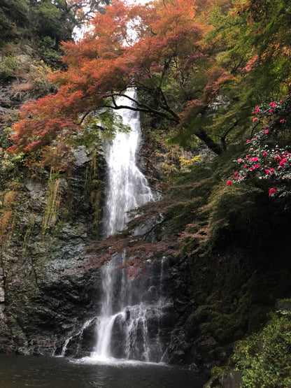 MINOH: Katsuoji, Ryanji y Cascada.